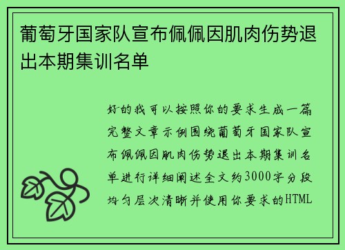 葡萄牙国家队宣布佩佩因肌肉伤势退出本期集训名单
